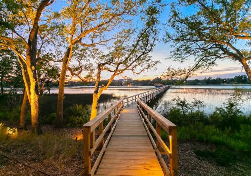 Landscaper Charleston SC 7.6.26 1