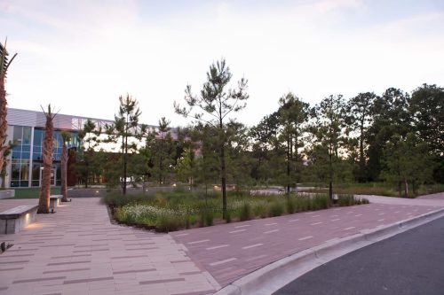 Landscaper Charleston Sc 8 25 26 5
