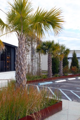 Landscaper-Charleston-SC-120 (1)