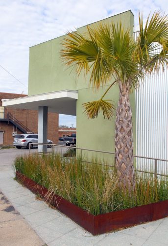 Landscaper-Charleston-SC-122 (1)