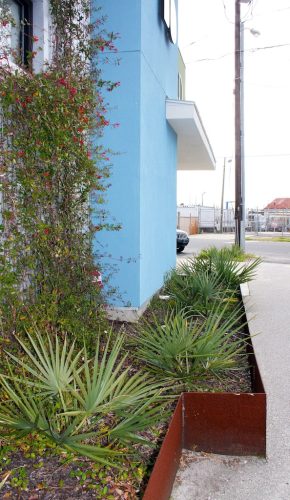 Landscaper-Charleston-SC-123 (1)