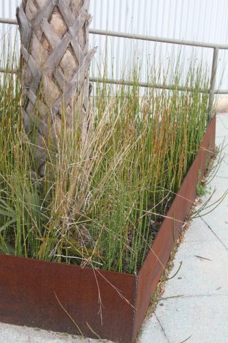 Landscaper-Charleston-SC-124 (1)
