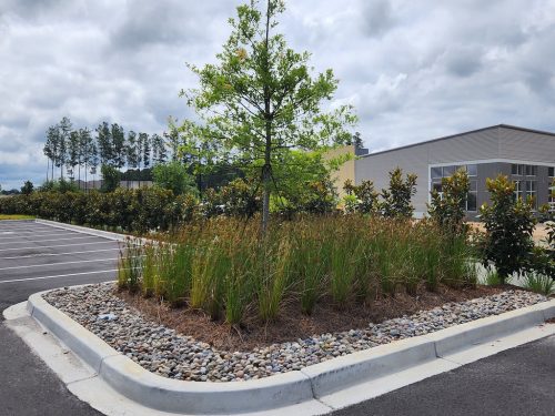 Landscaper-Charleston-SC-125 (1)