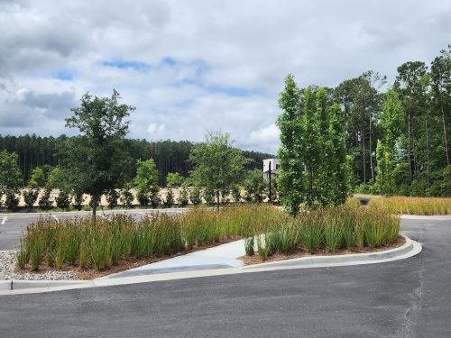 Landscaper-Charleston-SC-126 (1)