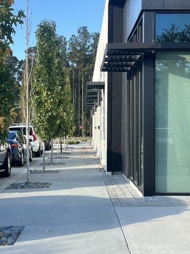 Landscaper-Charleston-SC-134