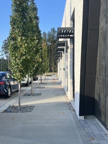 Landscaper-Charleston-SC-135