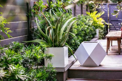 Landscaper-Charleston-SC-39