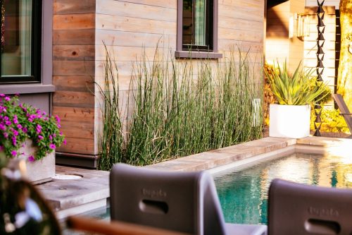 Landscaper-Charleston-SC-45