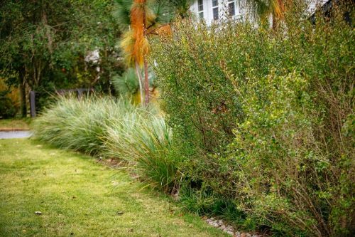 Landscaper-Charleston-SC-48