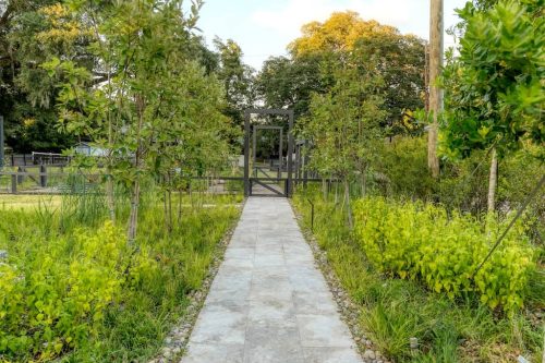 Landscaper-Charleston-SC-57