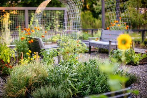 Landscaper-Charleston-SC-64