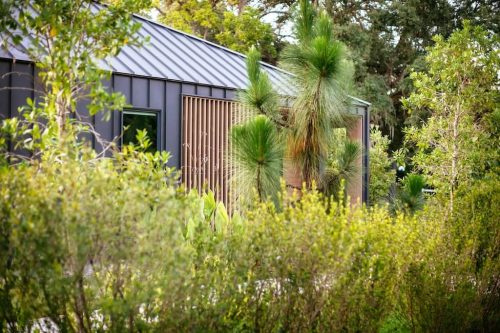 Landscaper-Charleston-SC-66