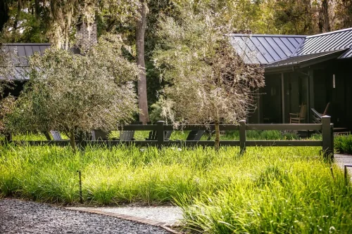 Landscaper-Charleston-SC-7-22-25-007