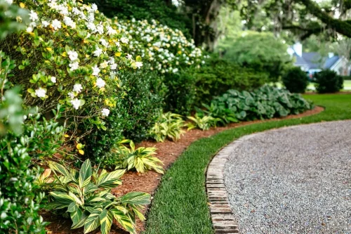 Landscaper-Charleston-SC-7-28-26-09