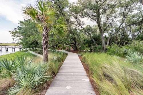 Landscaper-Charleston-SC-8-28-25-003