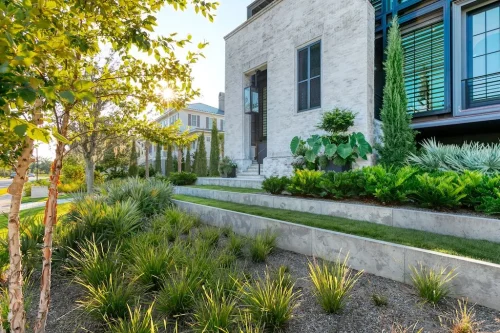 Landscaper-Charleston-SC-8-28-25-006