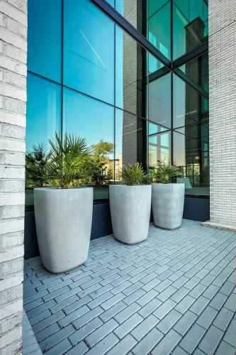 Landscaper-Charleston-SC-9-9-26-1