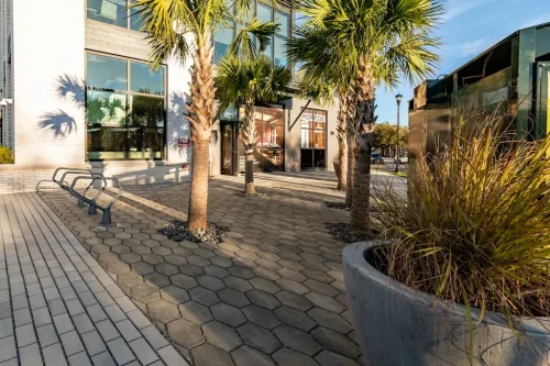 Landscaper-Charleston-SC-9-9-26-12