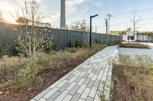 Landscaper-Charleston-SC-9-9-26-18