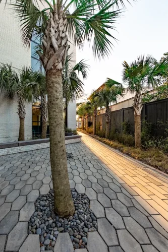 Landscaper-Charleston-SC-9-9-26-19