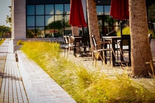 Landscaper-Charleston-SC-9-9-26-9