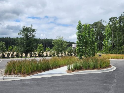 Remark-Studio-Commercial-Landscaping-1