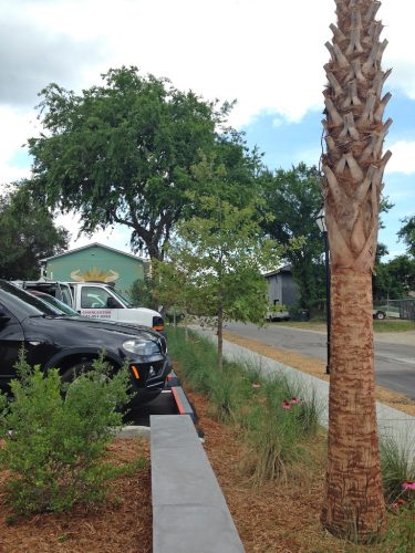 Remark-Studio-Commercial-Landscaping-101