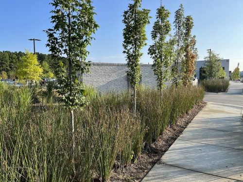 Remark-Studio-Commercial-Landscaping-30