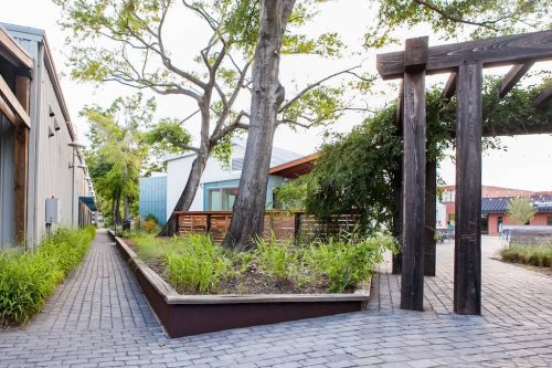 Remark-Studio-Commercial-Landscaping-36