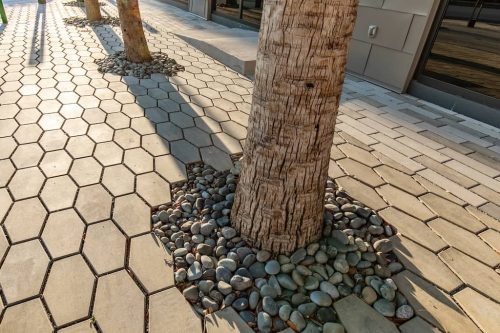 Remark-Studio-Commercial-Landscaping-91